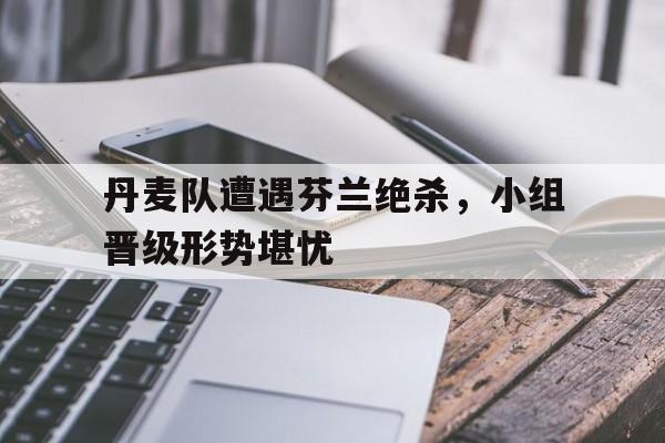 平博官网-丹麦对芬兰比赛突发事件